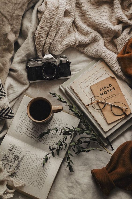 What to do in January to Prepare for Next Christmas